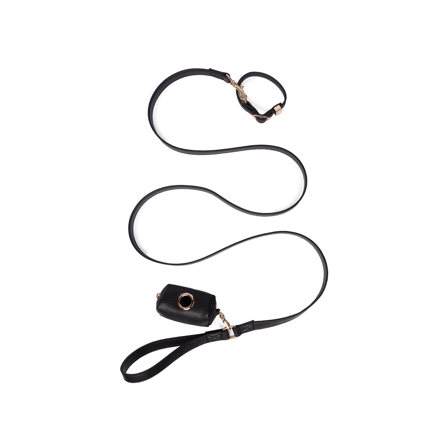 Black Dog Leash