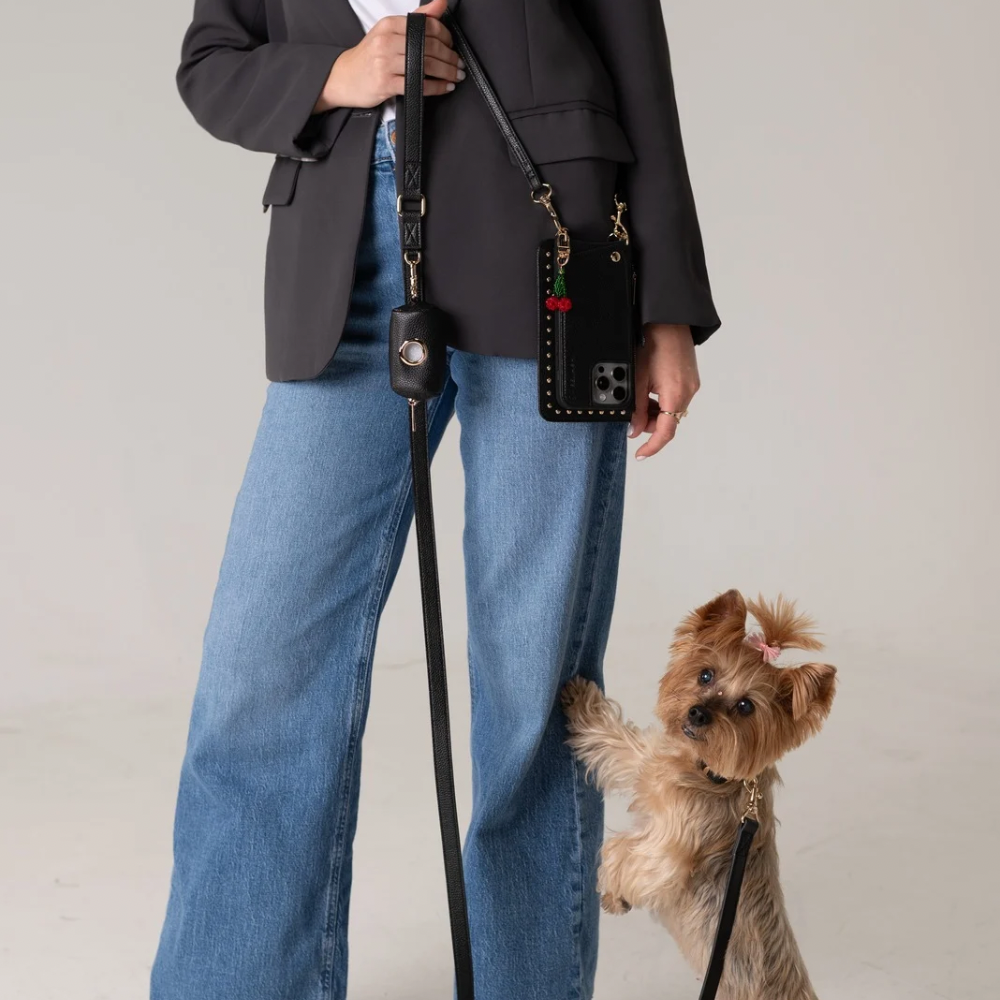 Black Dog Leash