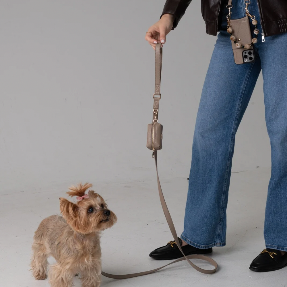 Taupe Dog Leash