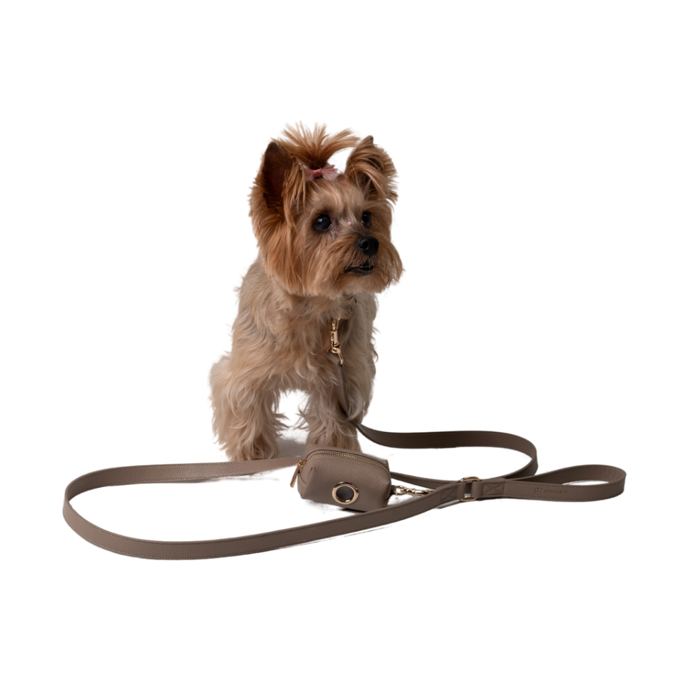 Taupe Dog Leash