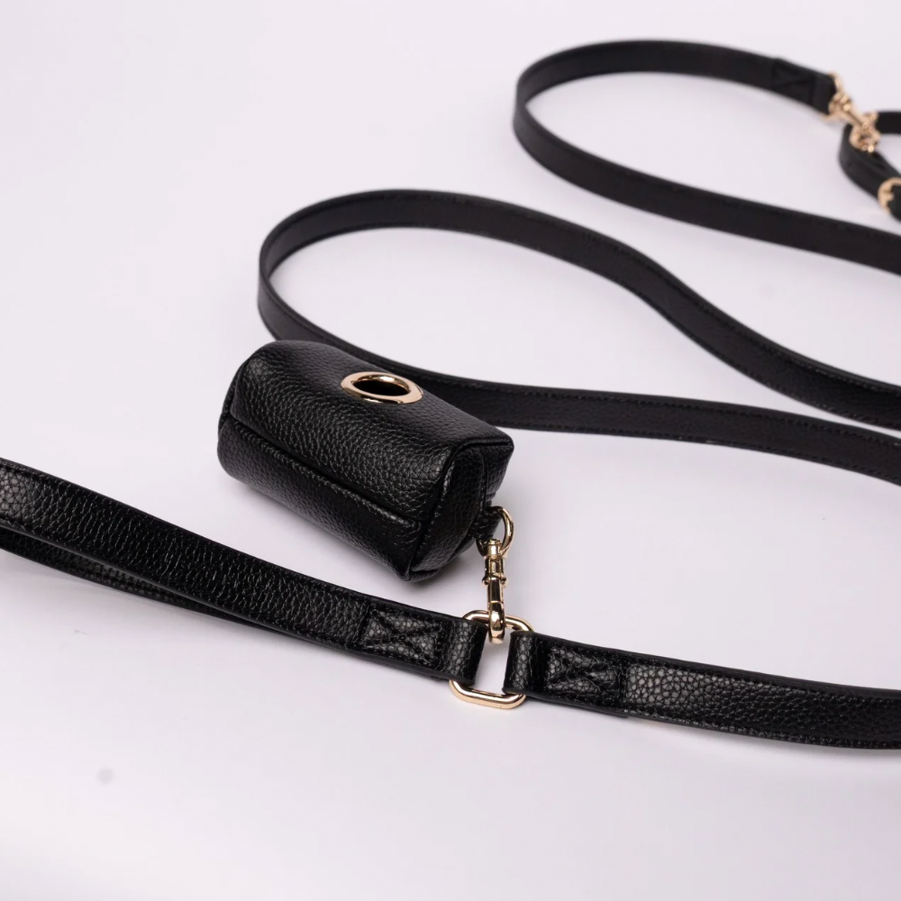 Black Dog Leash
