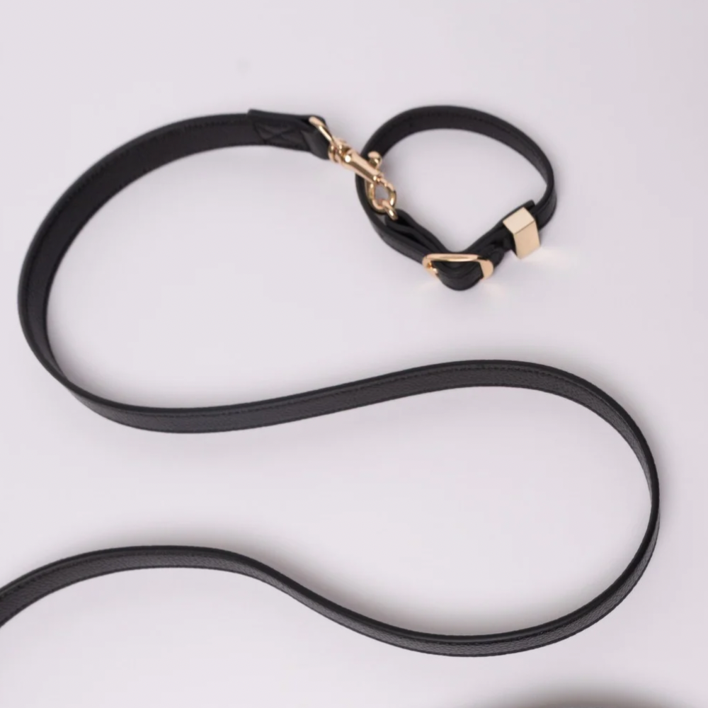 Black Dog Leash