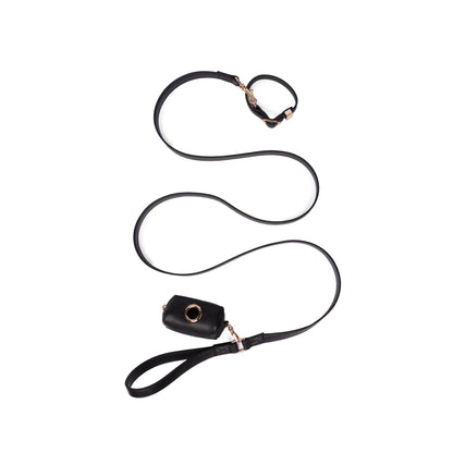 Black Dog Leash
