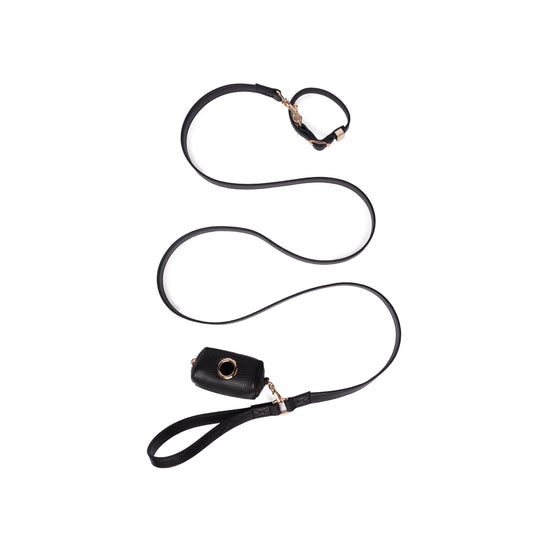 Black Dog Leash