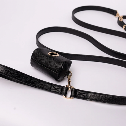Black Dog Leash